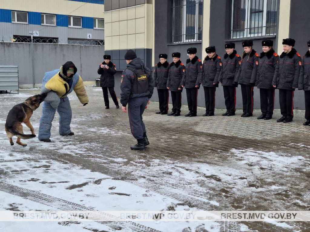 В МОСКОВСКОМ РУВД БРЕСТА ПРОШЕЛ ДЕНЬ ОТКРЫТЫХ ДВЕРЕЙ - Брестское городское  объединение профсоюзов